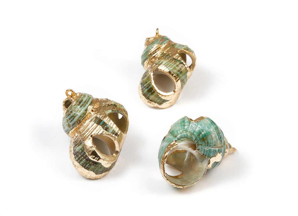 Open Whelk Charms - Whelk Seashell Earrings - Cut Open Seashell Pendant - Natural Seashell Earrings - 1 Hole - 31.73x19.88x15.82mm - SF1031 - DOMEDBAZAAR