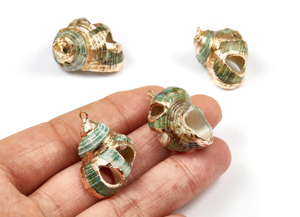 Open Whelk Charms - Whelk Seashell Earrings - Cut Open Seashell Pendant - Natural Seashell Earrings - 1 Hole - 31.73x19.88x15.82mm - SF1031 - DOMEDBAZAAR