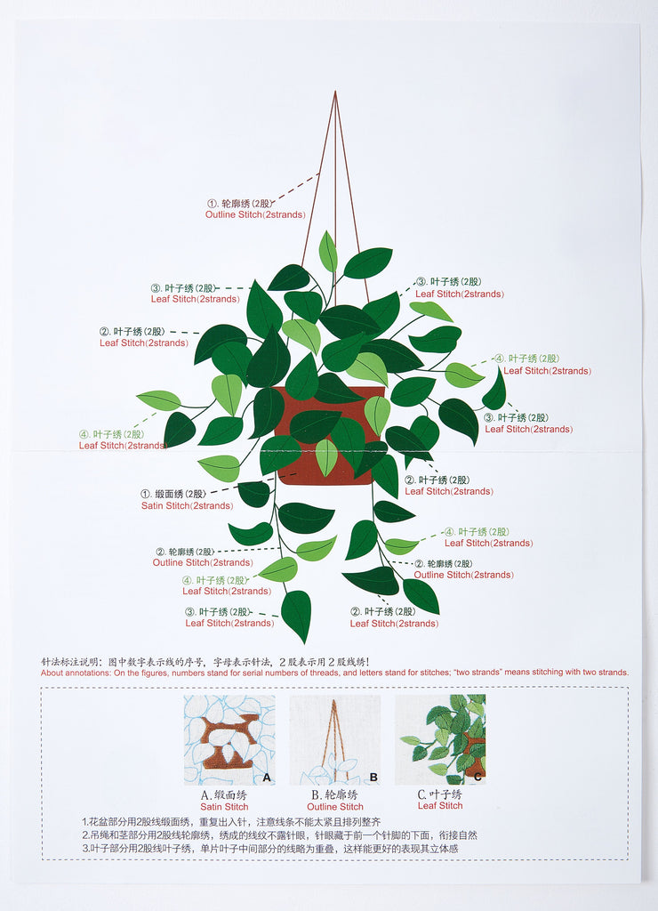 Plants Embroidery Kit - Hand Embroidery Kit - Embroidered Flowers - Modern Embroidery Kit - Embroidery Accessories - 170x113mm - HM511119 - DOMEDBAZAAR