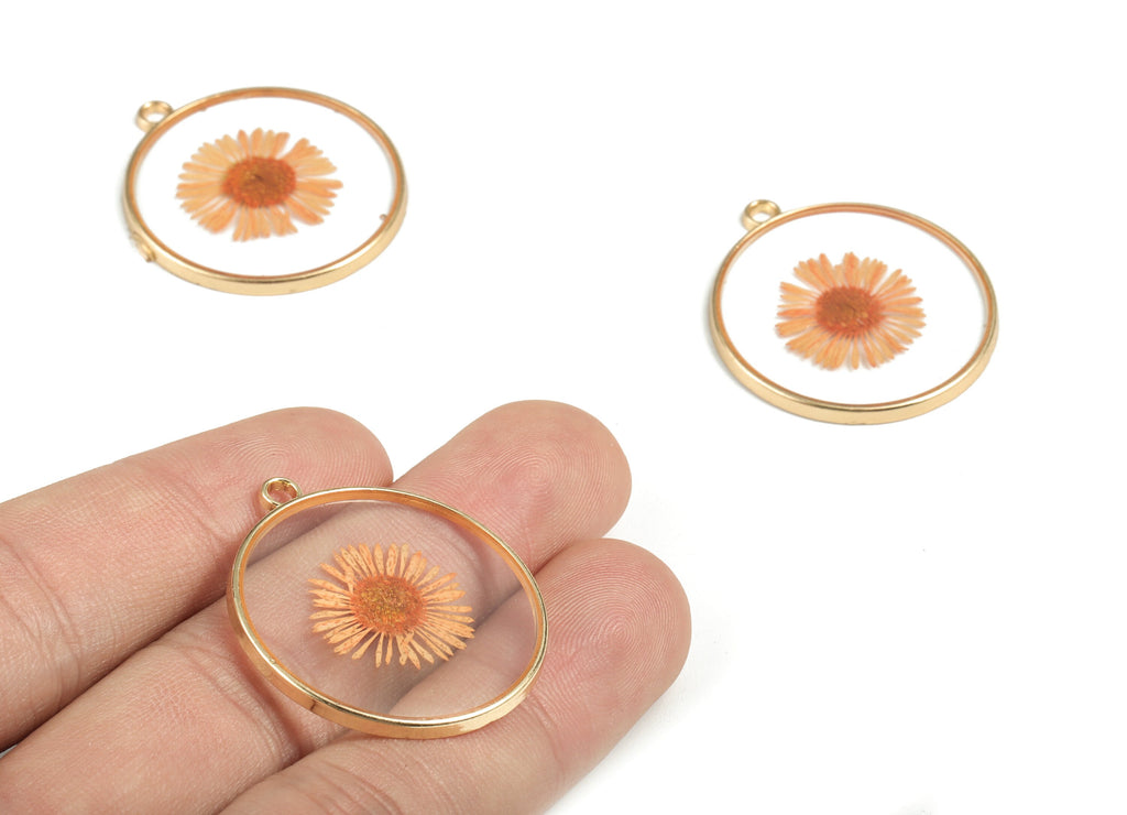 Resin Round Earring Charms - Resin Real Flower Pendant - Gold Tone Plated Alloy  - Jewelry Making Supplies - 32.52x29.41x2.52mm - RC1143D - DOMEDBAZAAR