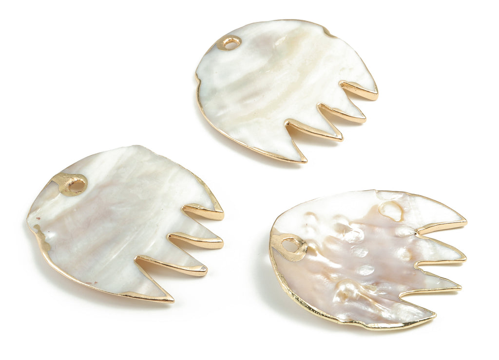 Natural Seashell Charms - Seashell Fish Earrings and Pendant - Gold Tone Plated Seashell - 1 Hole - 63.77x51.28x6.81mm - SF1130 - DOMEDBAZAAR