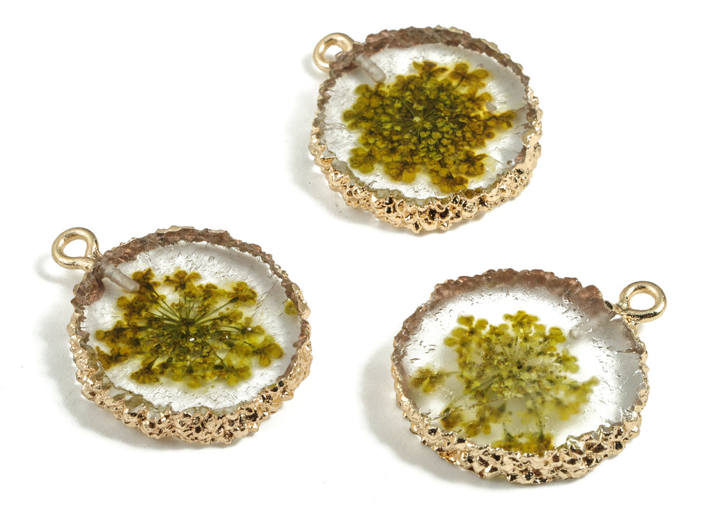 Resin Round Earring Charms - Resin Real Flower Pendant - Gold Tone Plated Resin - Jewelry Supplies - 26.02x20x4.36mm - RC1142 - DOMEDBAZAAR