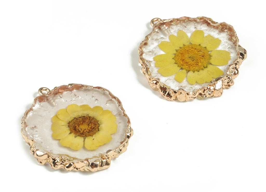 Resin Round Earring Charms - Natural Real Flower Pendant - Gold Tone Plated Resin - Jewelry Making Supplies - 33.91x32.39x5.61mm - RC1175 - DOMEDBAZAAR
