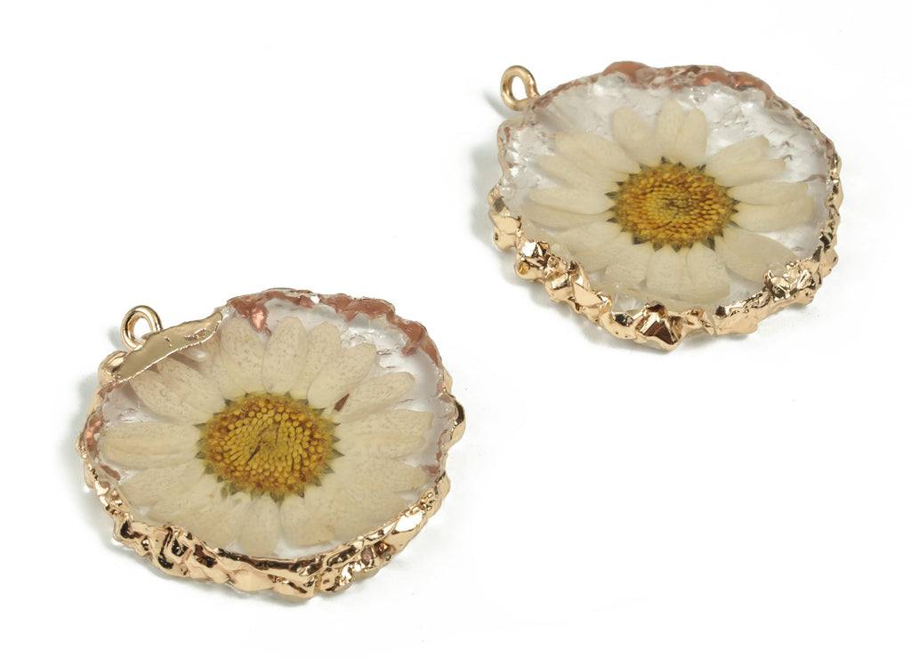 Resin Round Earring Charms - Natural Real Flower Pendant - Gold Tone Plated Resin - Jewelry Making Supplies - 35.39x30.54x5.02mm - RC1176 - DOMEDBAZAAR
