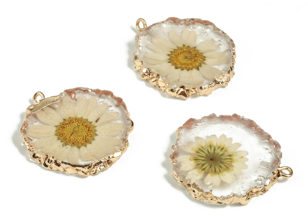 Resin Round Earring Charms - Natural Real Flower Pendant - Gold Tone Plated Resin - Jewelry Making Supplies - 35.39x30.54x5.02mm - RC1176 - DOMEDBAZAAR