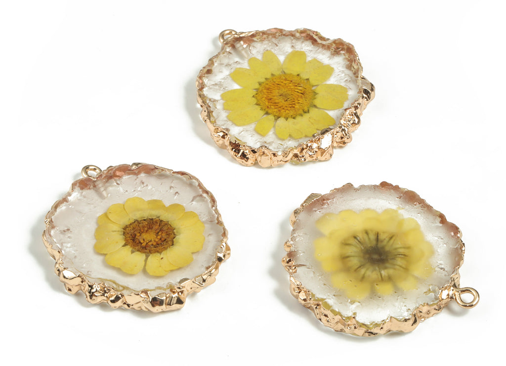Resin Round Earring Charms - Natural Real Flower Pendant - Gold Tone Plated Resin - Jewelry Making Supplies - 33.91x32.39x5.61mm - RC1175 - DOMEDBAZAAR