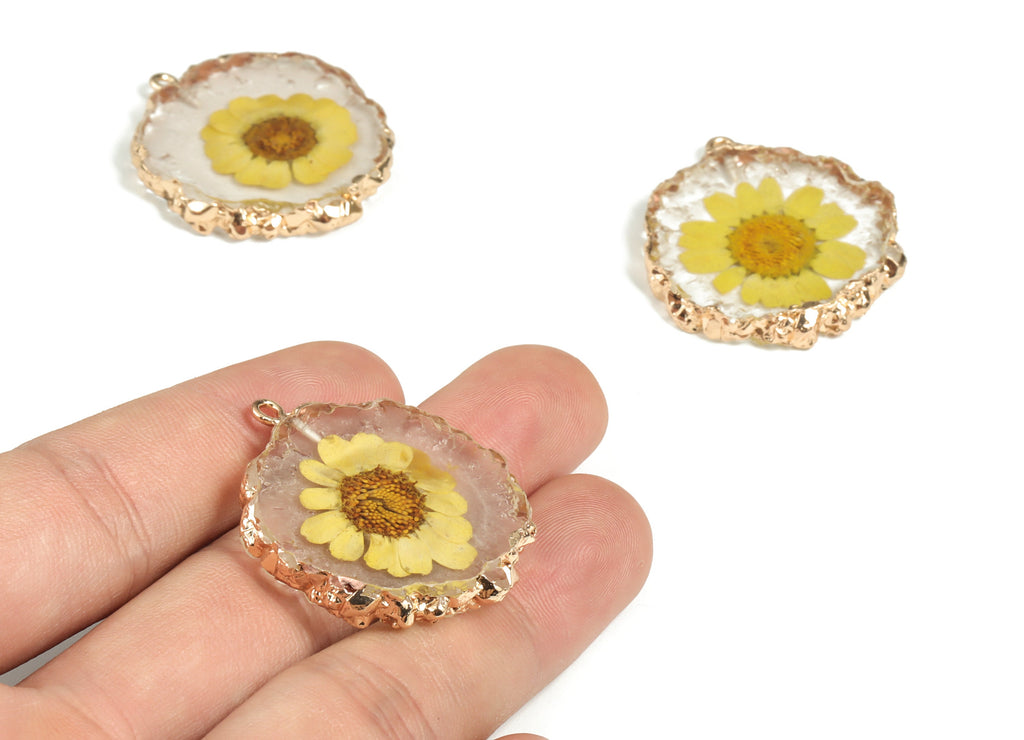 Resin Round Earring Charms - Natural Real Flower Pendant - Gold Tone Plated Resin - Jewelry Making Supplies - 33.91x32.39x5.61mm - RC1175 - DOMEDBAZAAR