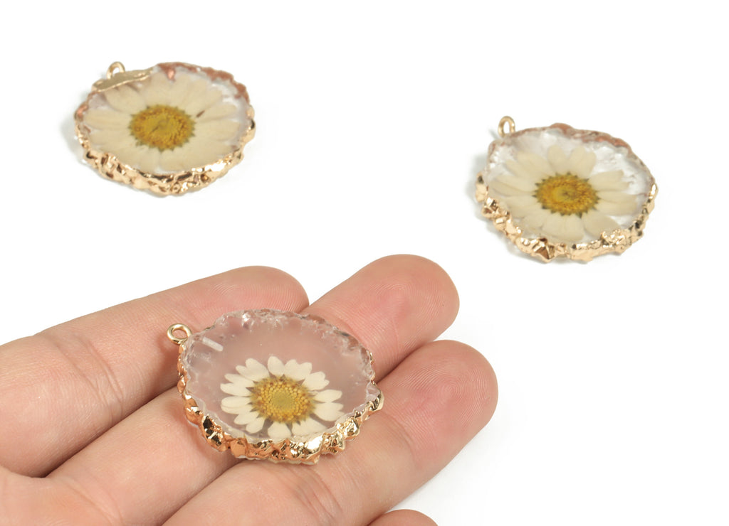 Resin Round Earring Charms - Natural Real Flower Pendant - Gold Tone Plated Resin - Jewelry Making Supplies - 35.39x30.54x5.02mm - RC1176 - DOMEDBAZAAR