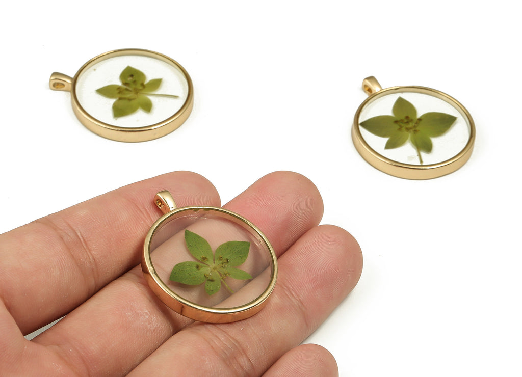 Epoxy Resin Round Real Flower Earring Charms - Epoxy Resin Rabbit Grass Pendant - Gold Tone Plated Alloy - 18.14x17.95x1.78mm - ZZ1831 - DOMEDBAZAAR
