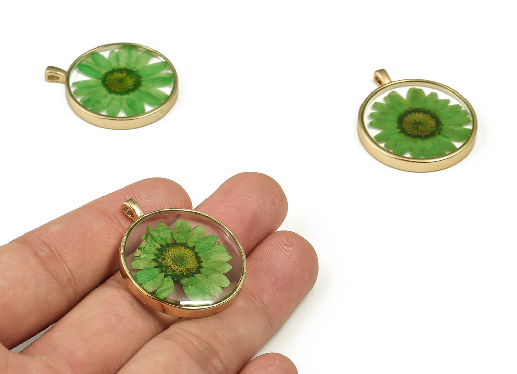 Epoxy Resin Round Real Flower Earring Charms - Epoxy Resin Crinkle Chrysanthemum Pendant - Gold Tone Plated Alloy - 35.05x29.07x4mm - ZZ1833 - DOMEDBAZAAR