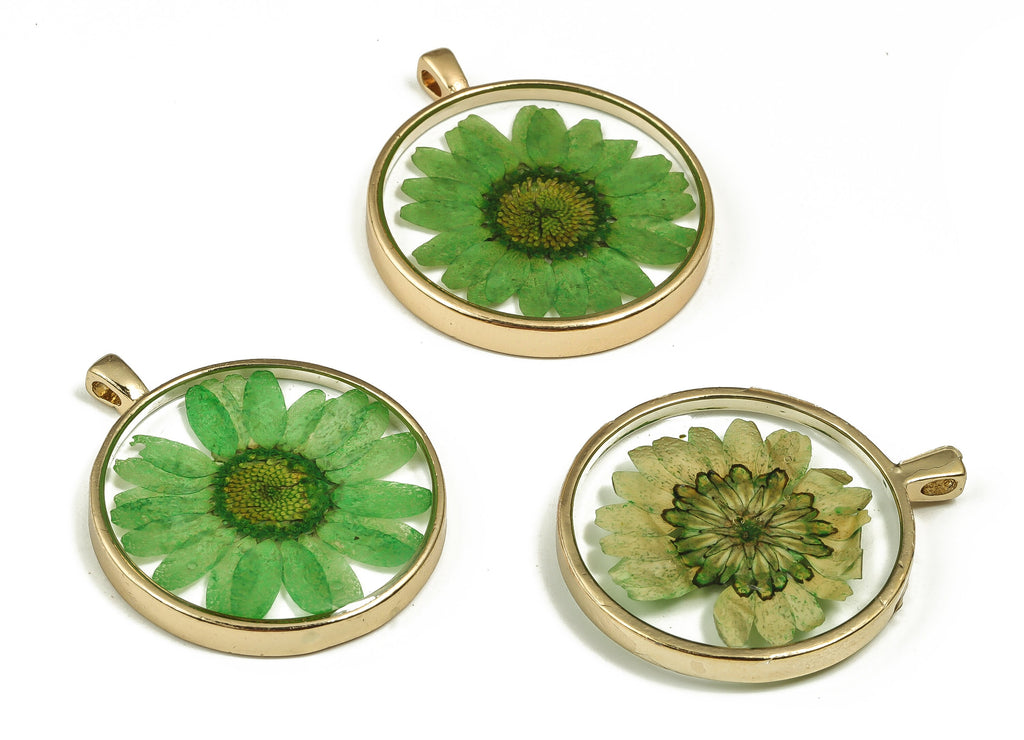 Epoxy Resin Round Real Flower Earring Charms - Epoxy Resin Crinkle Chrysanthemum Pendant - Gold Tone Plated Alloy - 35.05x29.07x4mm - ZZ1833 - DOMEDBAZAAR