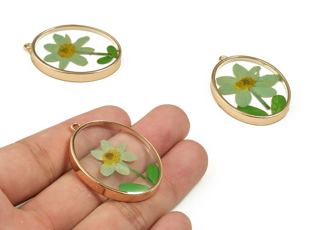Epoxy Resin Oval Real Flower Earring Charms - Epoxy Resin Annunciator Pendant - Gold Tone Plated Alloy - 41.34x30.13x5.39mm - ZZ1884 - DOMEDBAZAAR
