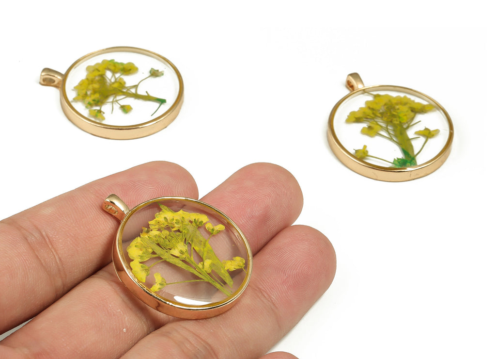 Epoxy Resin Round Real Flower Earring Charms - Epoxy Resin Sweet Alyssum Pendant - Gold Tone Plated Alloy - 34.89x28.99x4.58mm - ZZ1899 - DOMEDBAZAAR