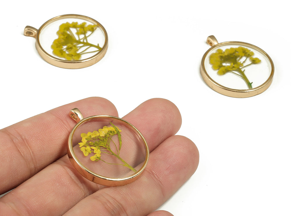 Epoxy Resin Round Real Flower Earring Charms - Epoxy Resin Sweet Alyssum Pendant - Gold Tone Plated Alloy - 35.31x28.89x4.67mm - ZZ1918 - DOMEDBAZAAR