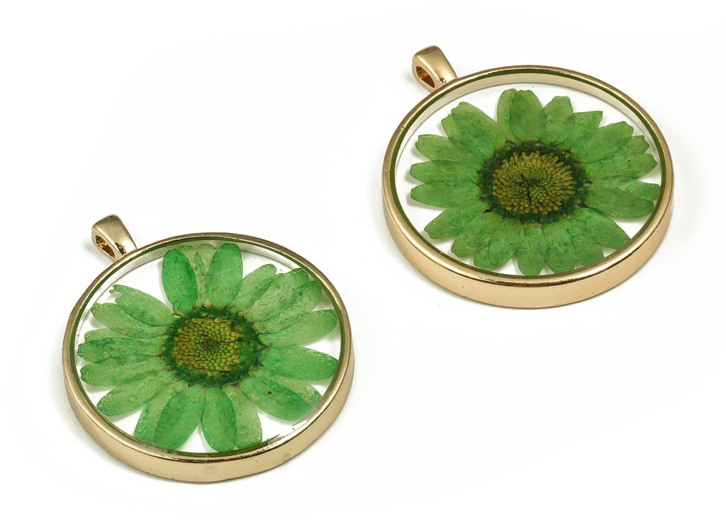 Epoxy Resin Round Real Flower Earring Charms - Epoxy Resin Crinkle Chrysanthemum Pendant - Gold Tone Plated Alloy - 35.05x29.07x4mm - ZZ1833 - DOMEDBAZAAR