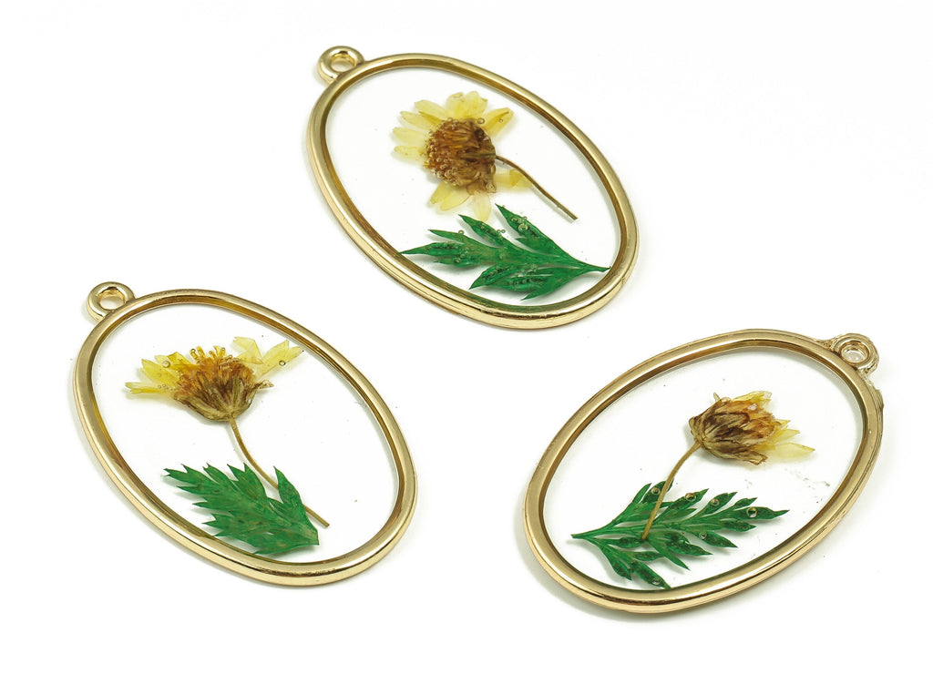 Epoxy Resin Oval Real Flower Earring Charms - Resin Sunflower&Black Pout Leaf Pendant - Gold Tone Plated Alloy - 34.95x2.17x2.17mm - ZZ1846 - DOMEDBAZAAR