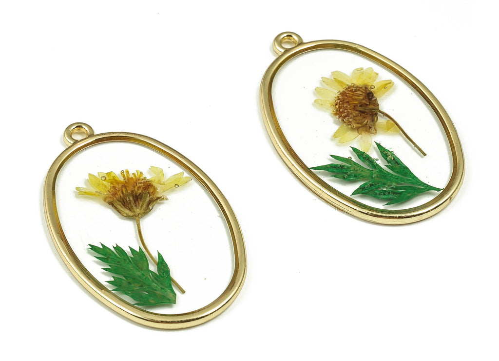 Epoxy Resin Oval Real Flower Earring Charms - Resin Sunflower&Black Pout Leaf Pendant - Gold Tone Plated Alloy - 34.95x2.17x2.17mm - ZZ1846 - DOMEDBAZAAR