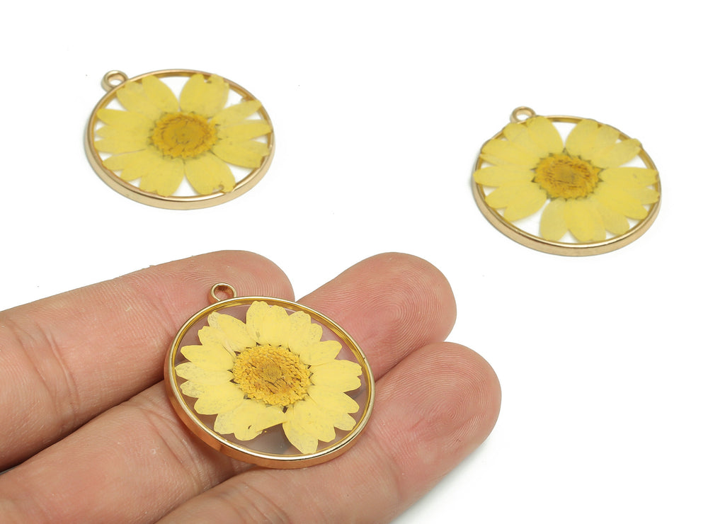 Epoxy Resin Round Real Flower Earring Charms - Dried Crinkle Chrysanthemum Pendant Charm - Gold Tone Plated Alloy -33.2x29.5x2.6mm- ZZ1937 - DOMEDBAZAAR