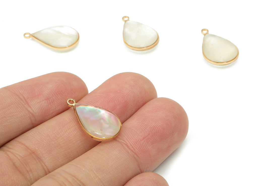 Shell Drop Earring Charms - Shell Teardrop Pendant - Gold Tone Plated Brass - Jewelry Making Supplies - 18.43x11.91x4.53mm - SF1137 - DOMEDBAZAAR