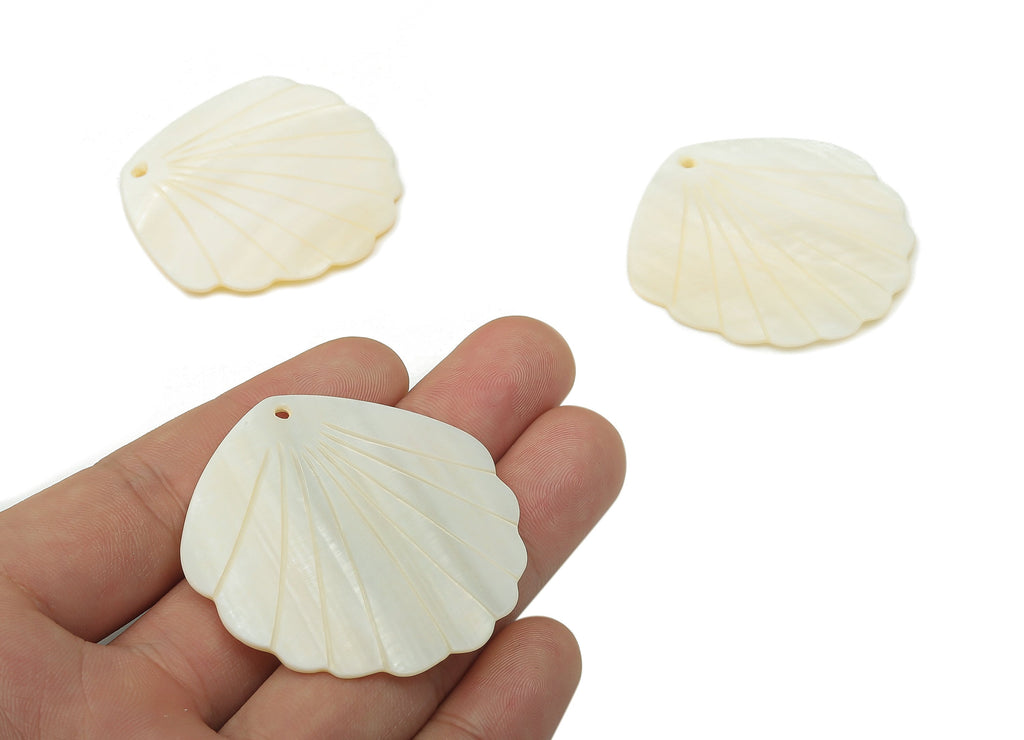 Clam Shell Pendants Charm - Clam Shell Charms - Ivory Shell Earrings Charm - Beach Charms - Ocean Jewelry Supplies - 48.48x47x2.14mm- SF1139 - DOMEDBAZAAR